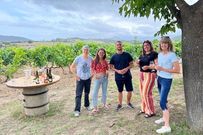Visite privée de dégustation de vin autour de l'île Rousse et Calvi