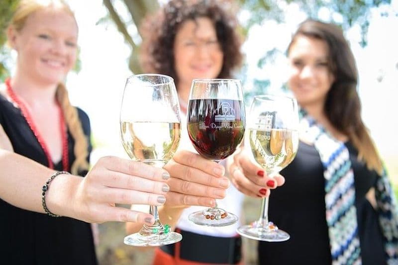 Aventure avec chauffeur dans les vignobles locaux de San Diego