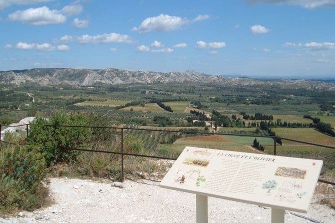 Visite du vignoble rosé Provence planifiée sur mesure avec chauffeur privé