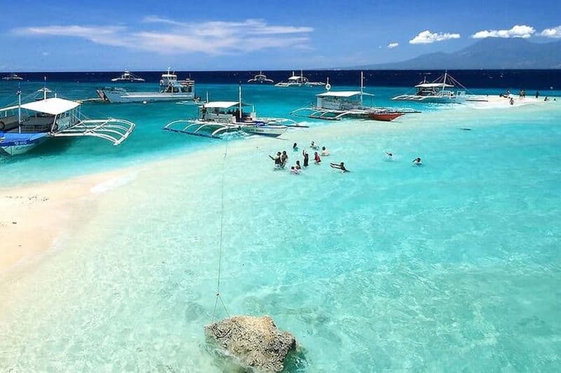 Observation des baleines sur l'île de Sumilon avec Ocean View Resort et déjeuner
