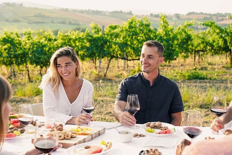 Visite privée d'une demi-journée des vins de São Roque