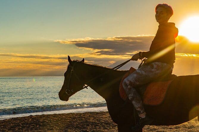 Antalya Équitation Sur La Plage Et À Travers Les Forêts