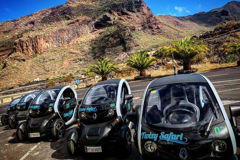 4 heures Eco Safari Tour avec voiture électrique à Tenerife