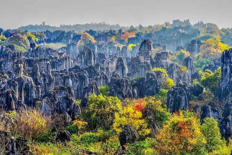 Visite de Kunming tout compris à Stone Forest, marché aux fleurs et aux oiseaux