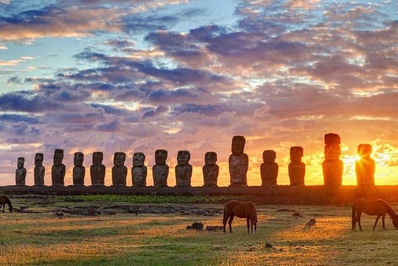 Excursion d'une journée sur l'île de Pâques : statues de Moai et points forts de l'île