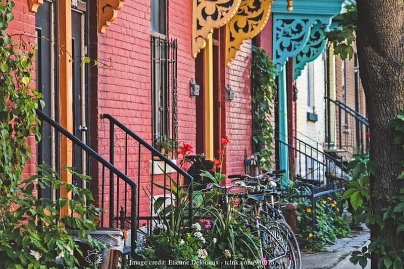 Billet Plateau Mont Royal et le Mile End : visite privée à pied de 2,5 heures