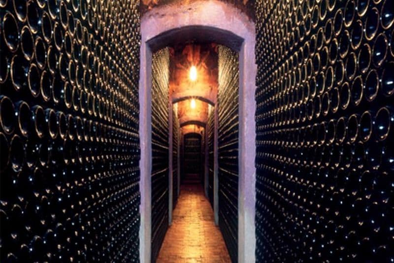 Visite et dégustation de vins à BODEGA PIRINEOS