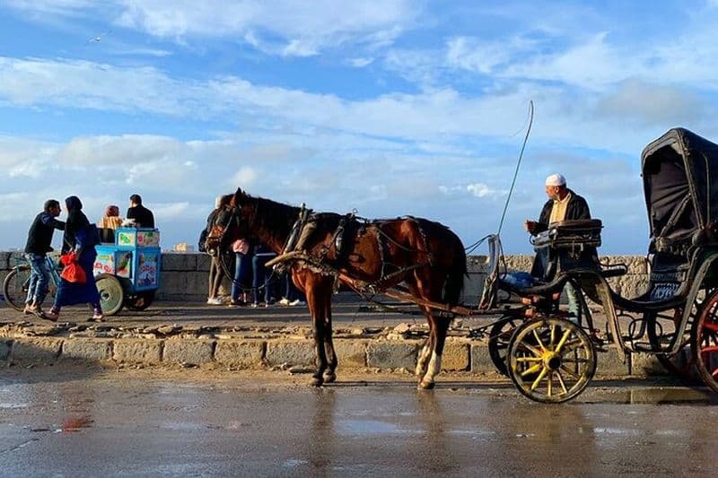 Visites à pied privées gratuites d'Alexandrie de nuit et promenade en calèche