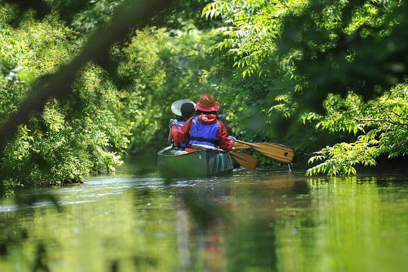 Canoë de 2 heures sur la rivière Bibi