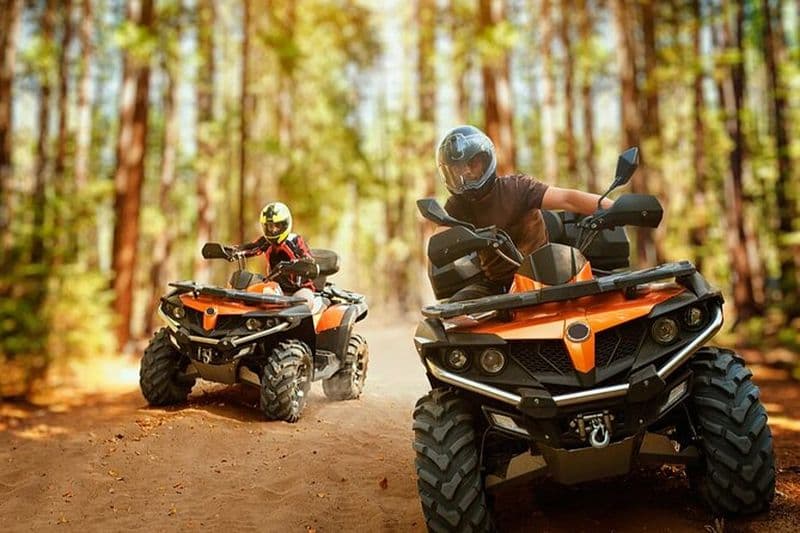 Sapanca Maşukiye Safari et merveilles naturelles