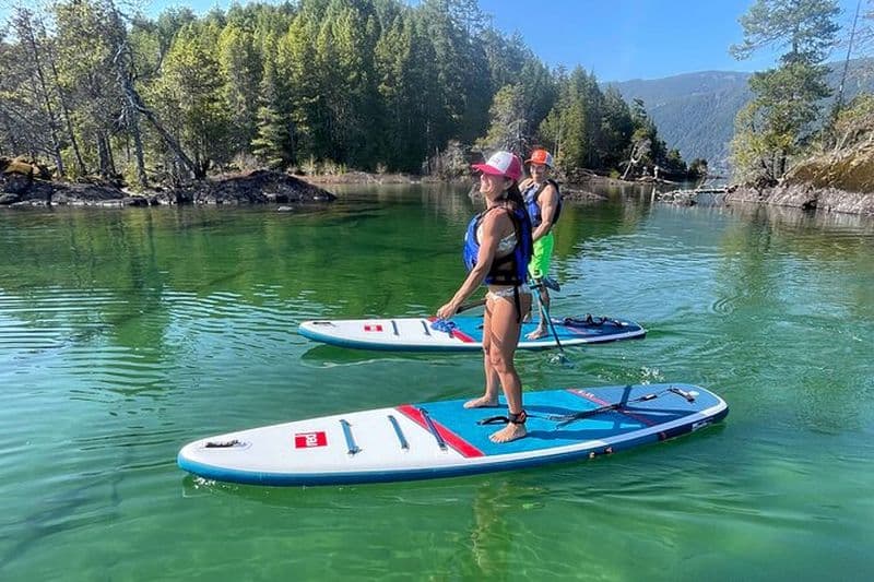 Visite guidée en SUP d'une heure et demie sur les eaux cristallines du lac Cowichan