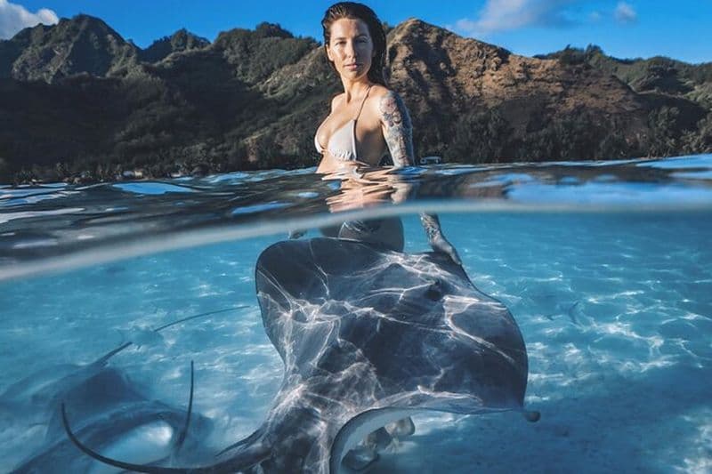Aventure privée sur la faune marine avec photographie sous-marine