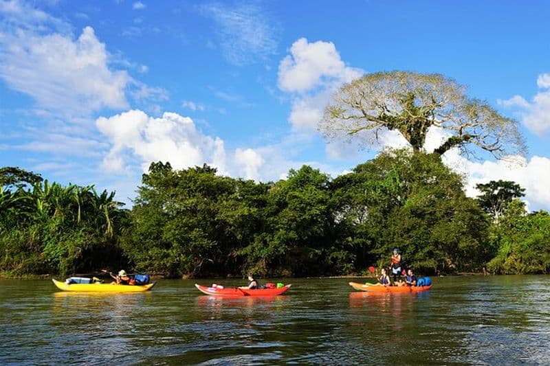 Aventure de 2 jours en kayak en Amazonie