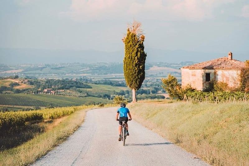 Visite à vélo et vin de 3 heures en Toscane: le chemin des nobles