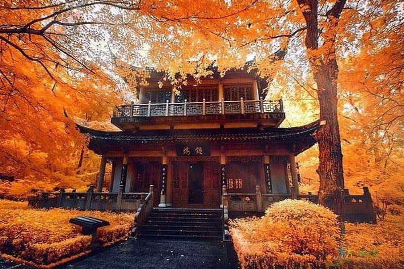 Visite privée d'une demi-journée au temple Qixia et à Swallow Rock à Nanjing