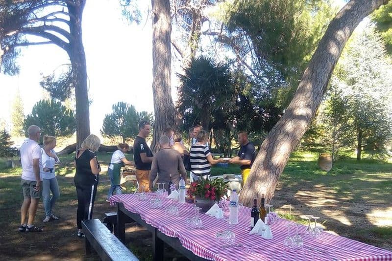 Excursion sur le rivage de Katakolon: Visite privée de dégustation de vin de Mercouri Estate Winery