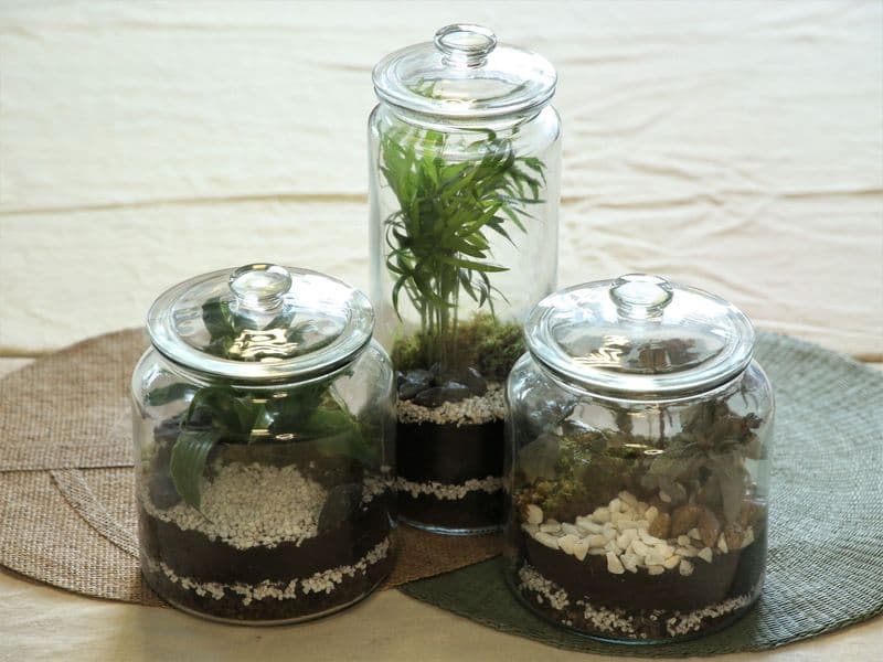 Billet Atelier - Réalisez votre terrarium