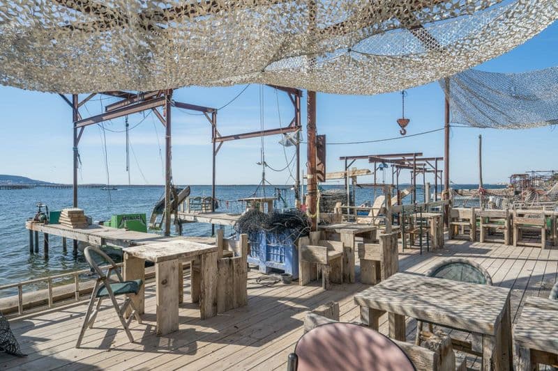 Billet Atelier - Découvrez une exploitation ostreïcole et dégustation