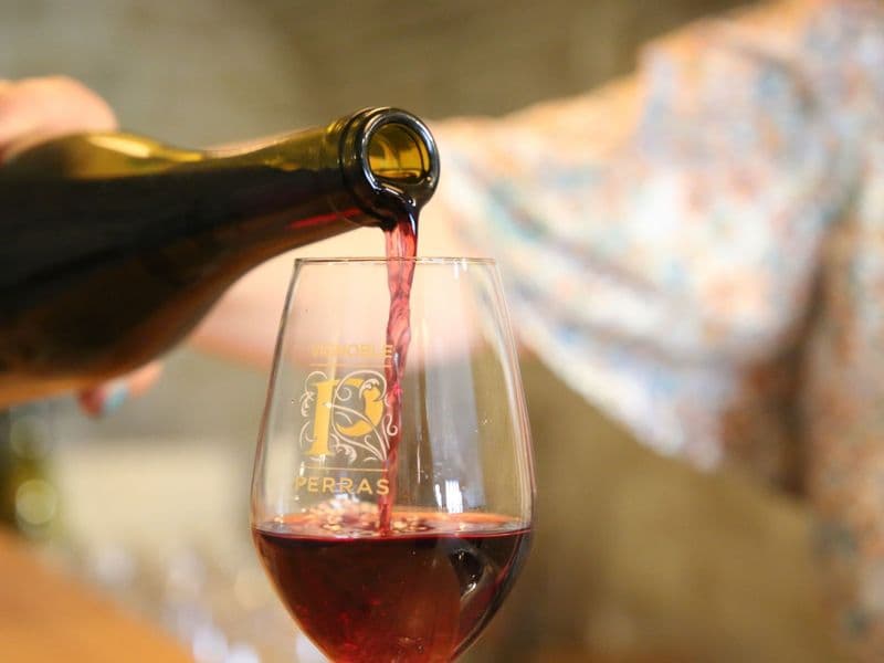 Billet Dégustez des vins Beaujolais au sein d'un vignoble