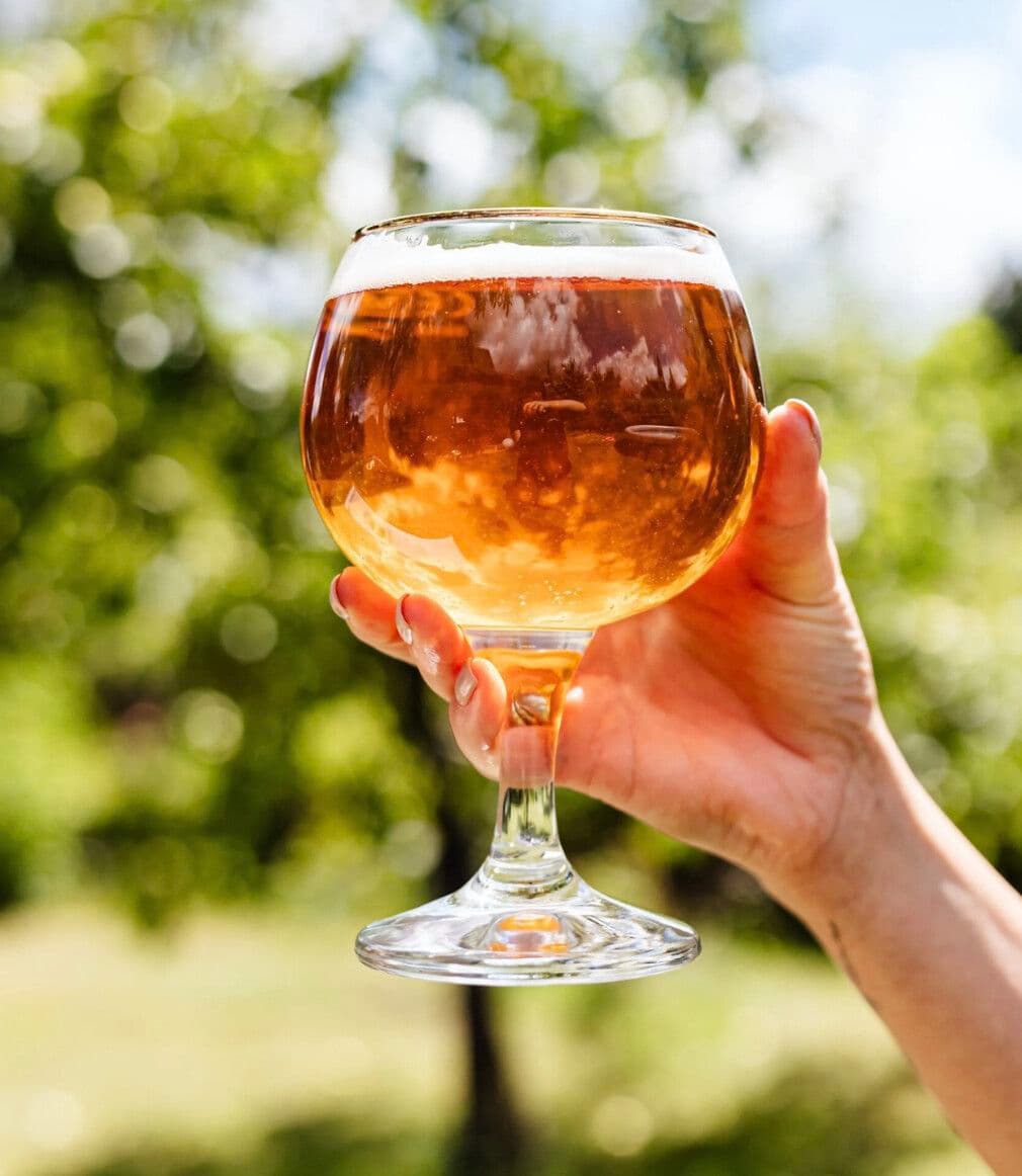 Dégustez 6 bières avec un zythologue