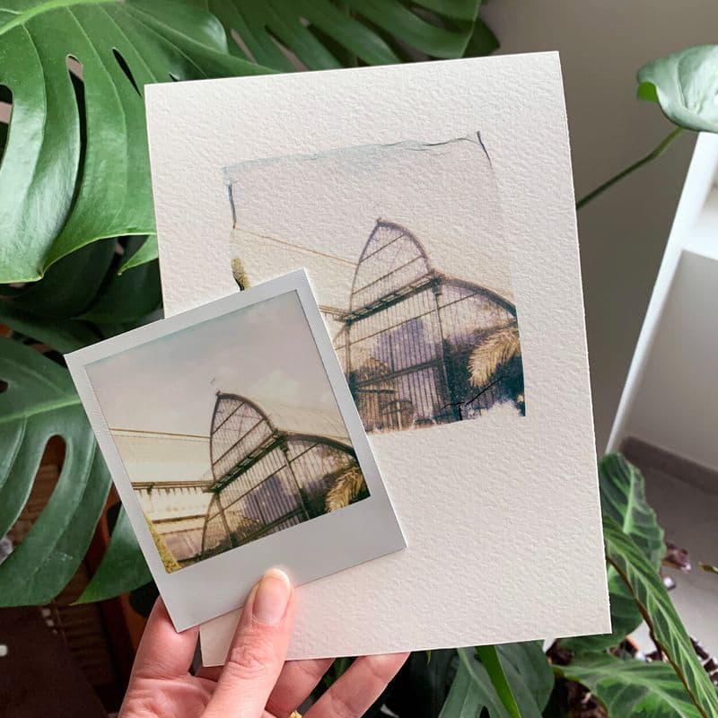 Billet Découvrez une autre facette du Polaroid