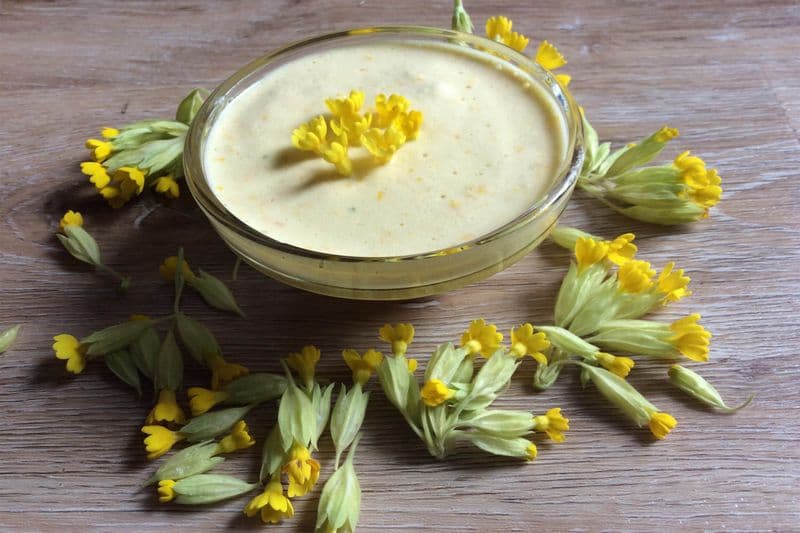 Billet Atelier - Cuisinez les plantes sauvages