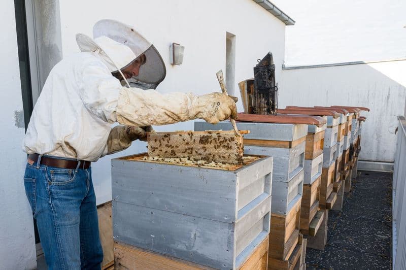Billet Atelier - Découvrez l'apiculture