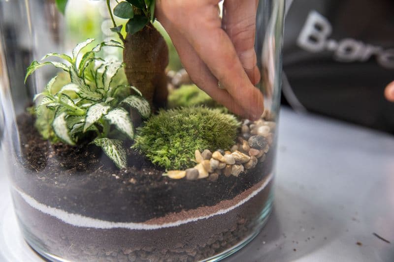 Billet Atelier - Créez votre terrarium à votre image