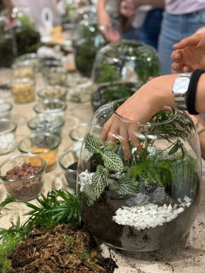Billet Atelier - Créez votre terrarium