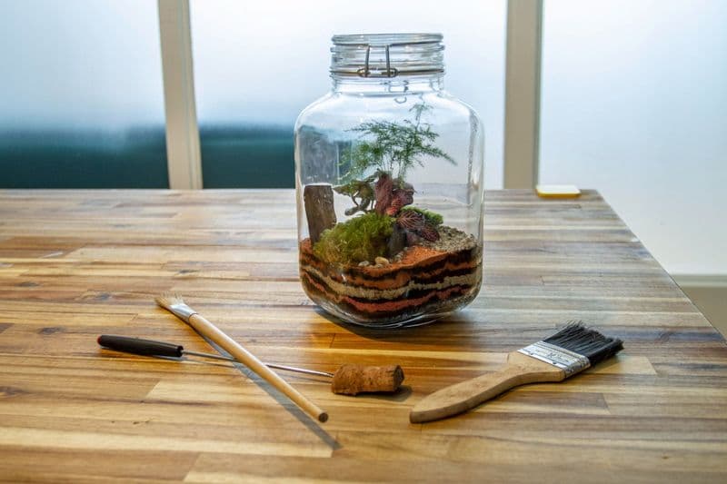 Billet Atelier - Composez votre terrarium