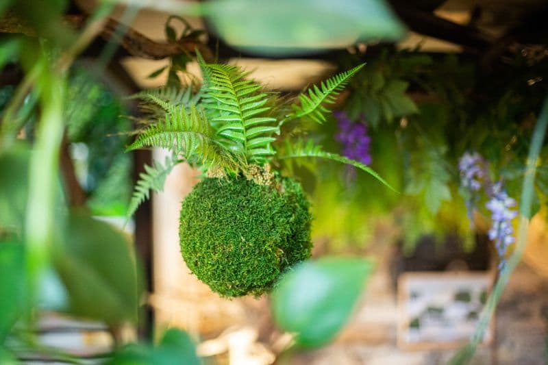 Billet Atelier - Réalisez votre kokedama