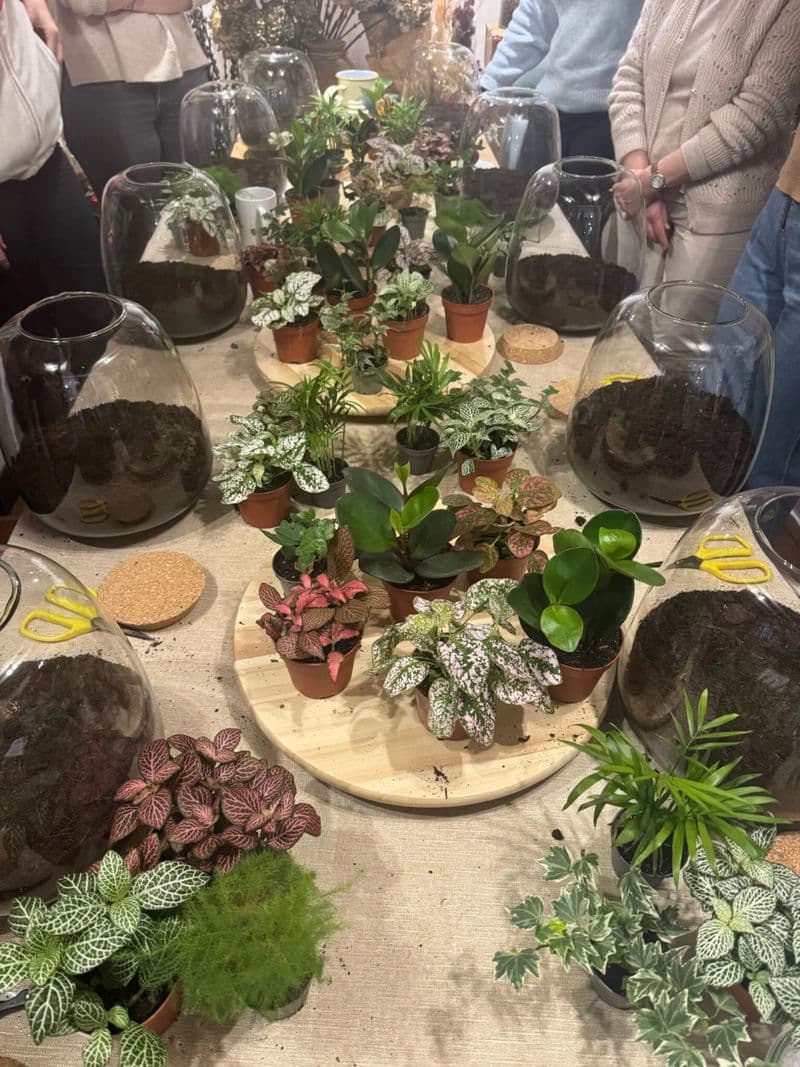 Billet Atelier - Créez votre terrarium en famille