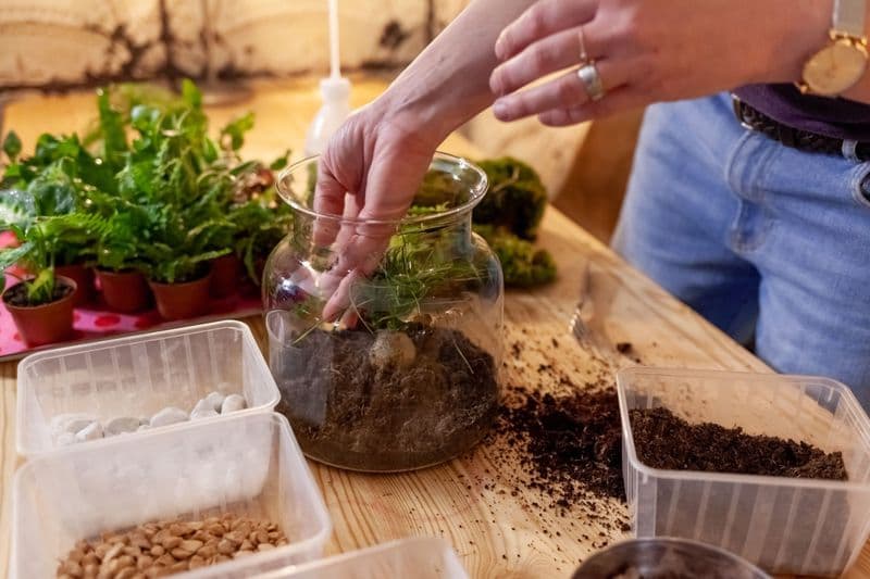 Billet Atelier - Créez et composez votre terrarium