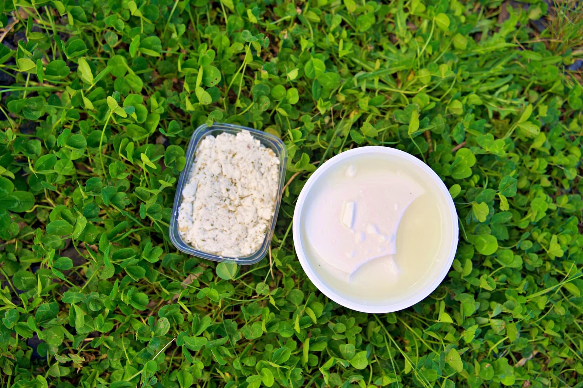 Moulez vos fromages en famille