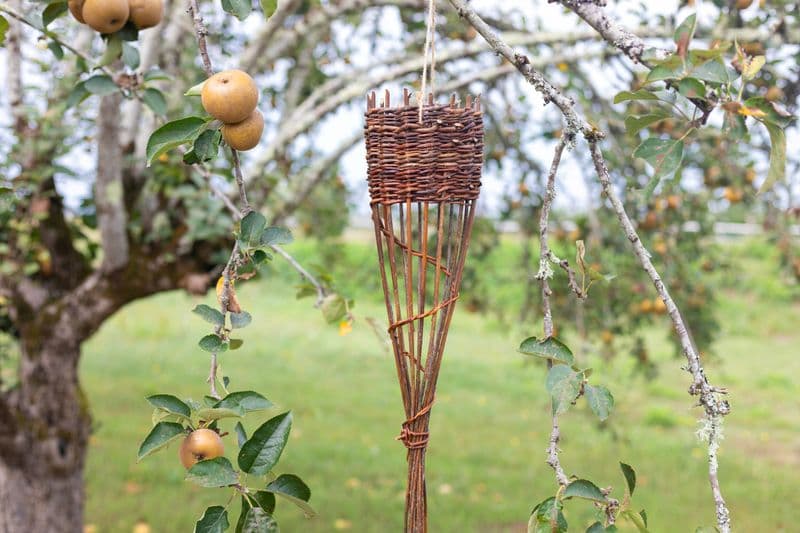 Fabriquez votre mangeoire à oiseaux