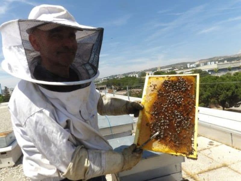 Billet Atelier - Plongez-vous dans le monde merveilleux des abeilles