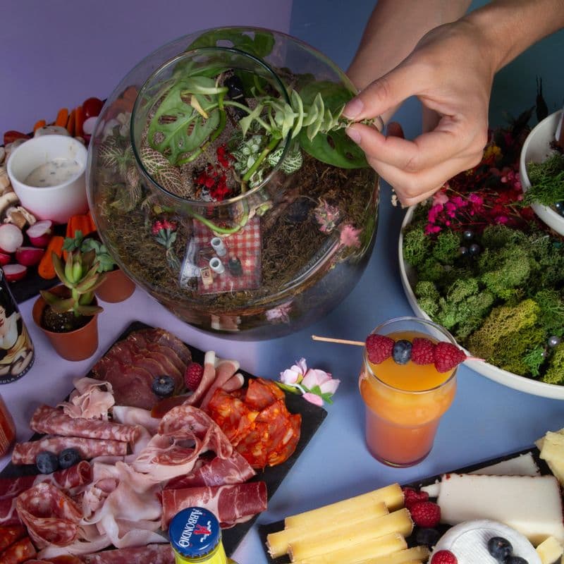 Billet Atelier - Créez votre terrarium autour d'un apéro