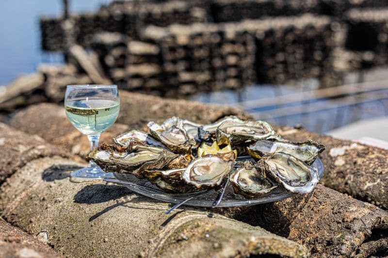 Billet Atelier - Visitez une cabane et dégustez des huitres