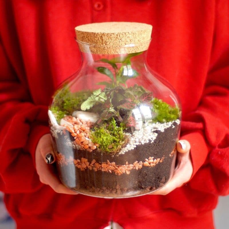 Billet Atelier - Composez votre terrarium