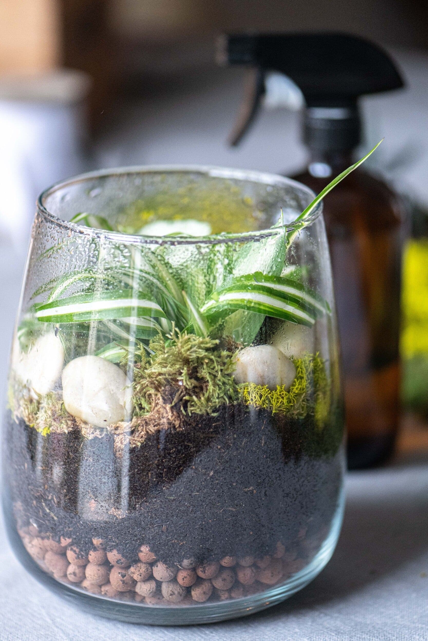 Billet Réalisez votre terrarium de taille M