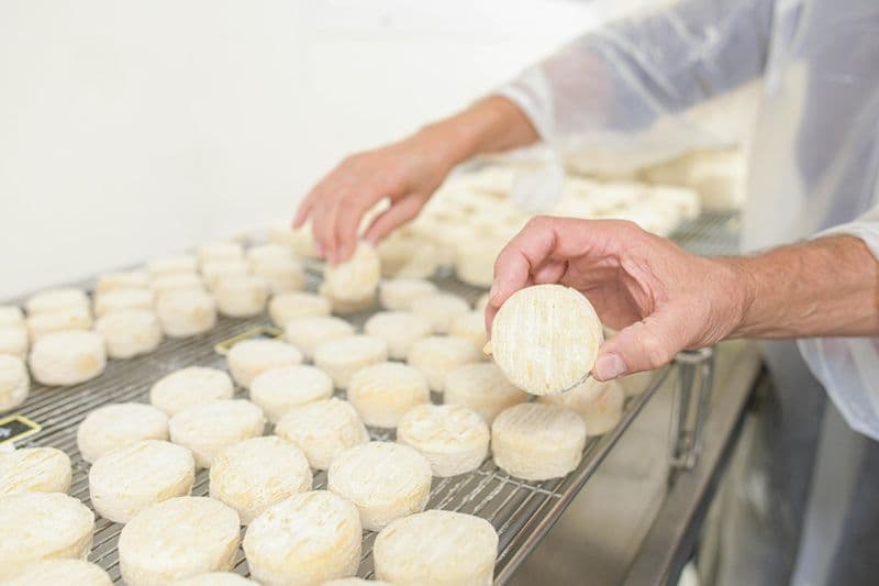 Fabriquez vos fromages et découvrez la ferme - 1J