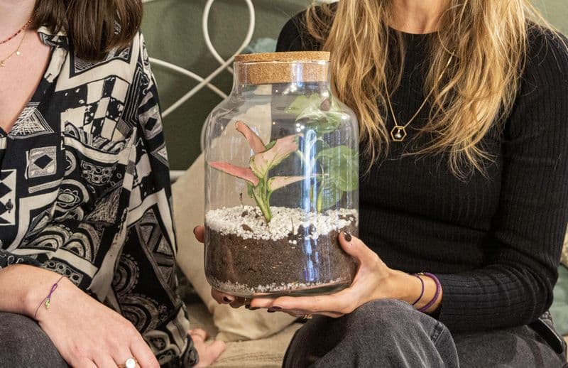 Billet Créez votre terrarium