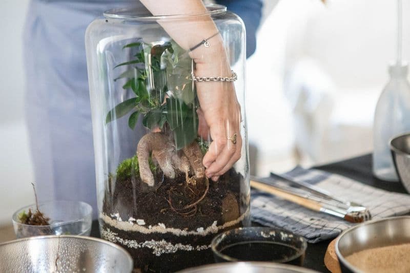 Billet Atelier - Créez et composez votre terrarium