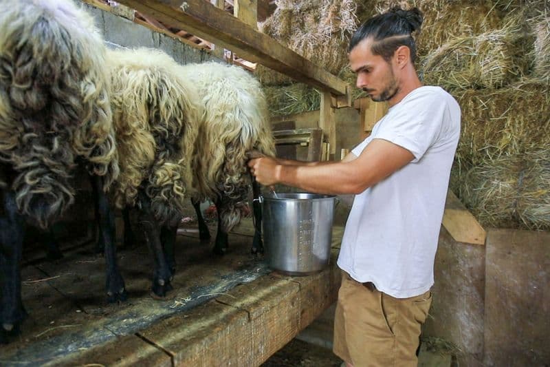 Billet Immergez-vous dans la vie d'un fermier fromager - 2J