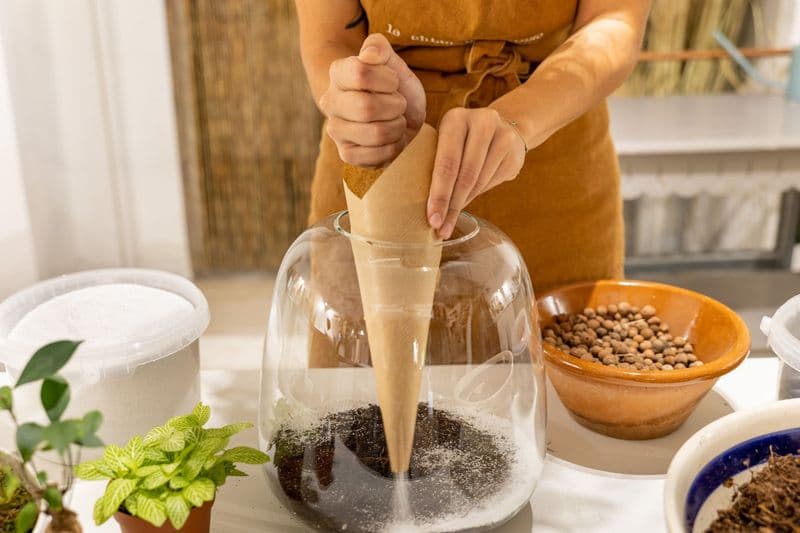 Billet Atelier - Réalisez votre terrarium en taille M