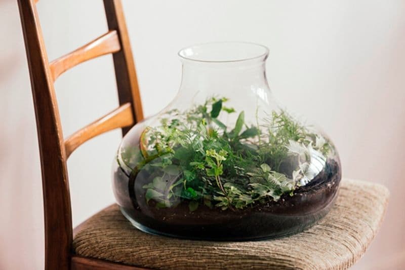 Billet Atelier - Composez votre terrarium de taille L