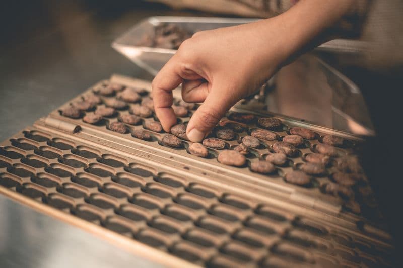 Billet Atelier - Plongez au coeur des secrets du chocolat