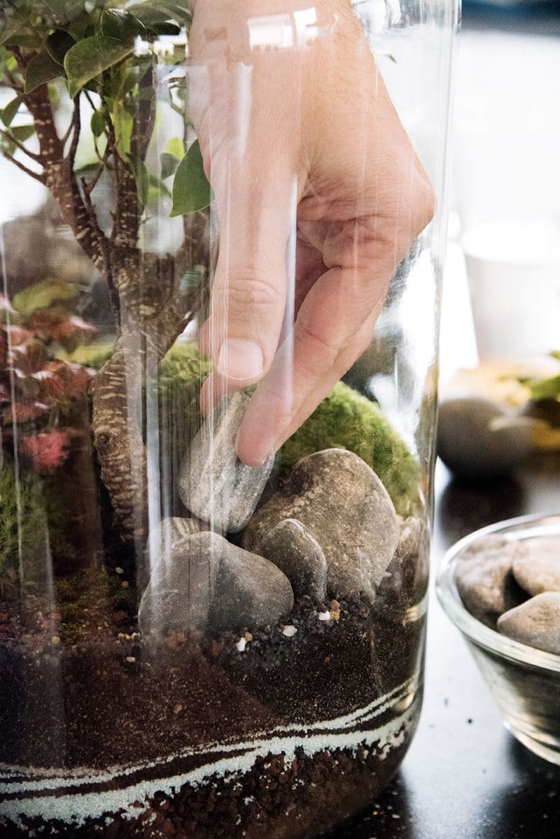 Billet Atelier - Créez un grand terrarium