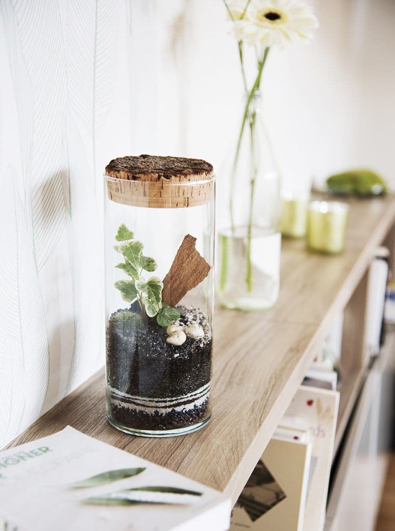 Billet Atelier - Créez votre petit terrarium