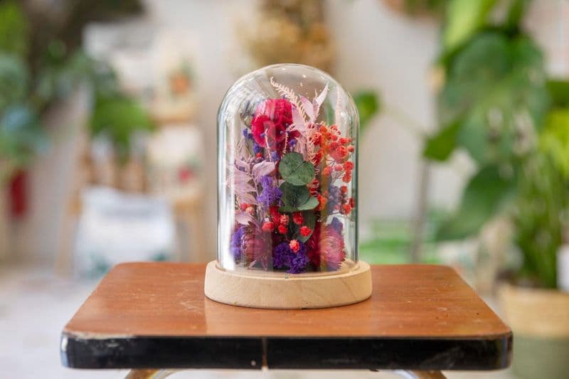 Créez votre composition florale sous cloche